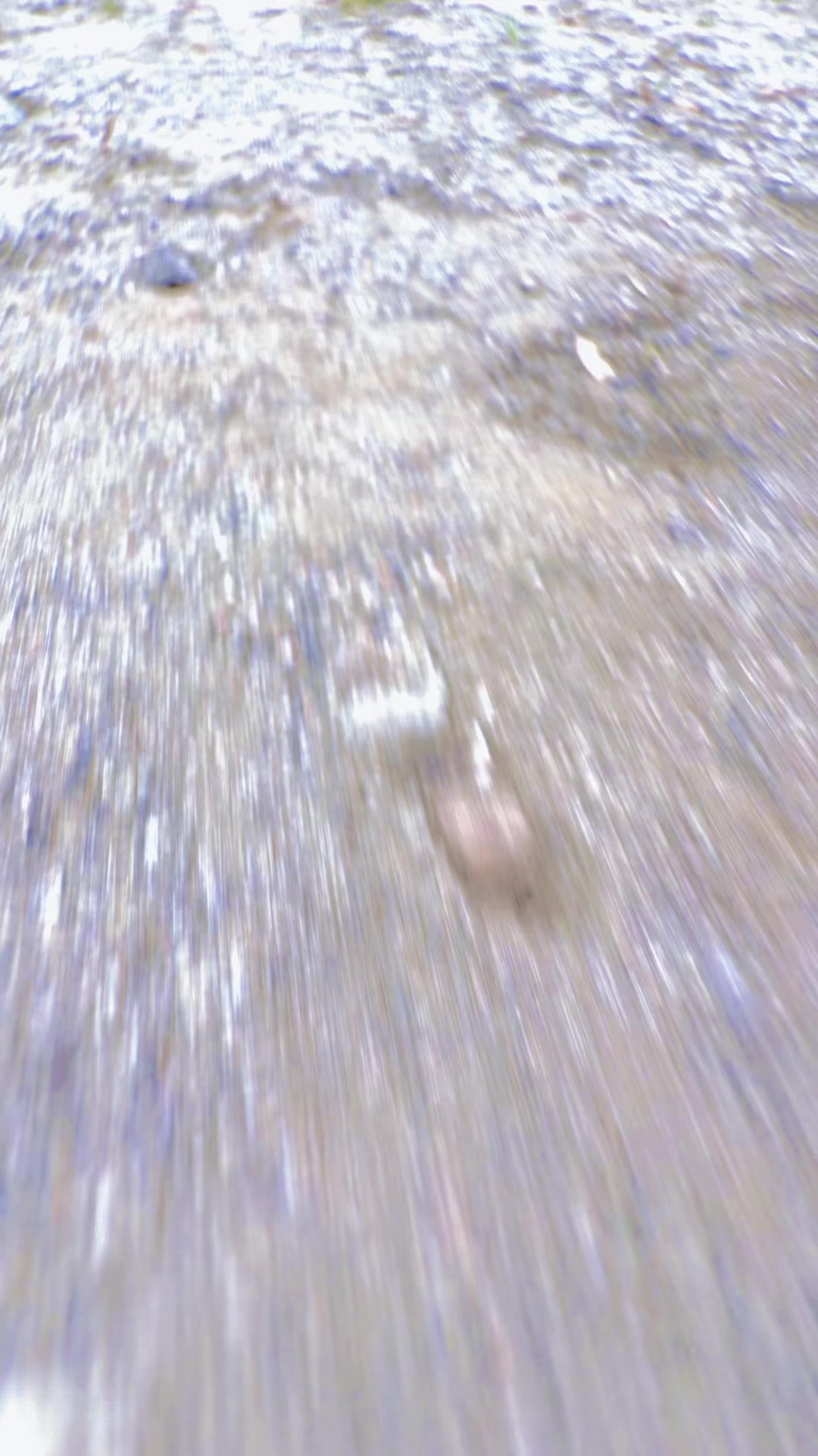 @꧁🦅𝐀ح𝐦𝐚𝐝🦅꧂