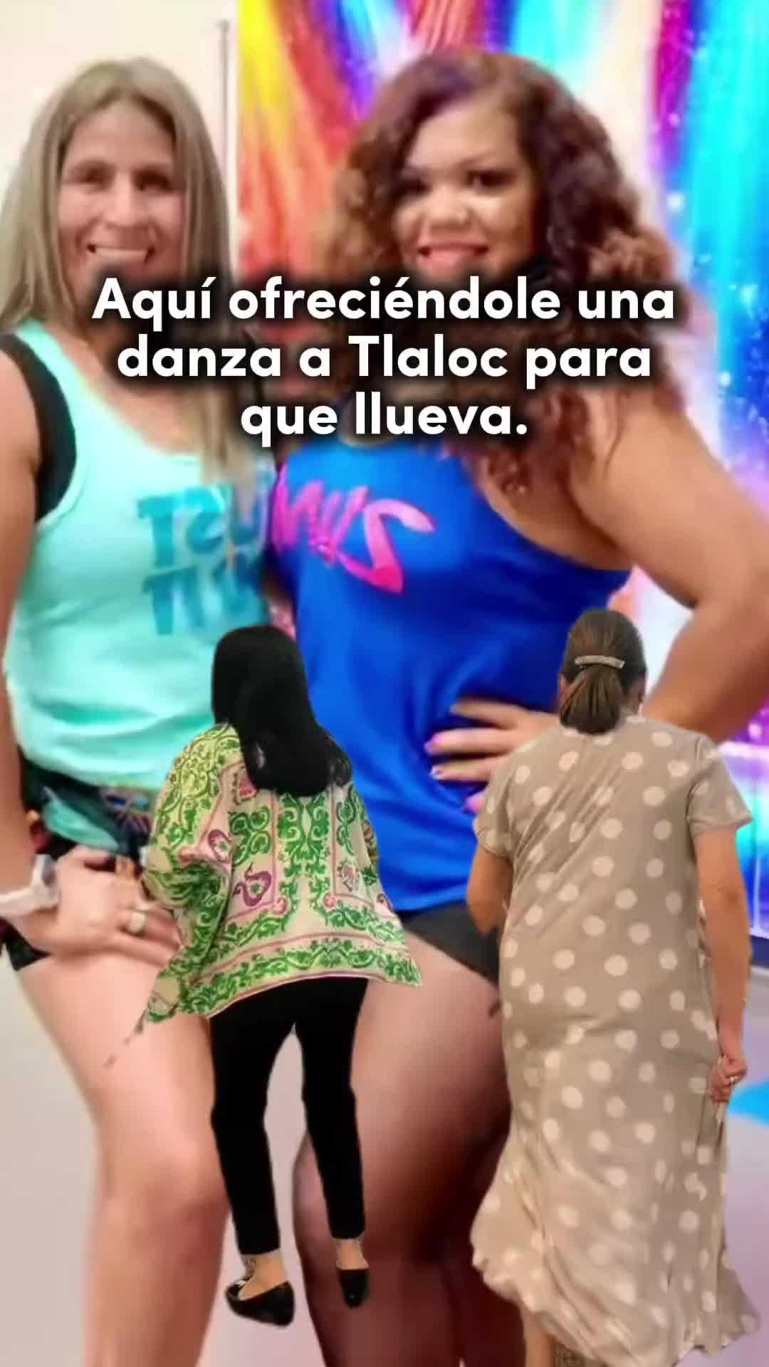 @Gaviota777