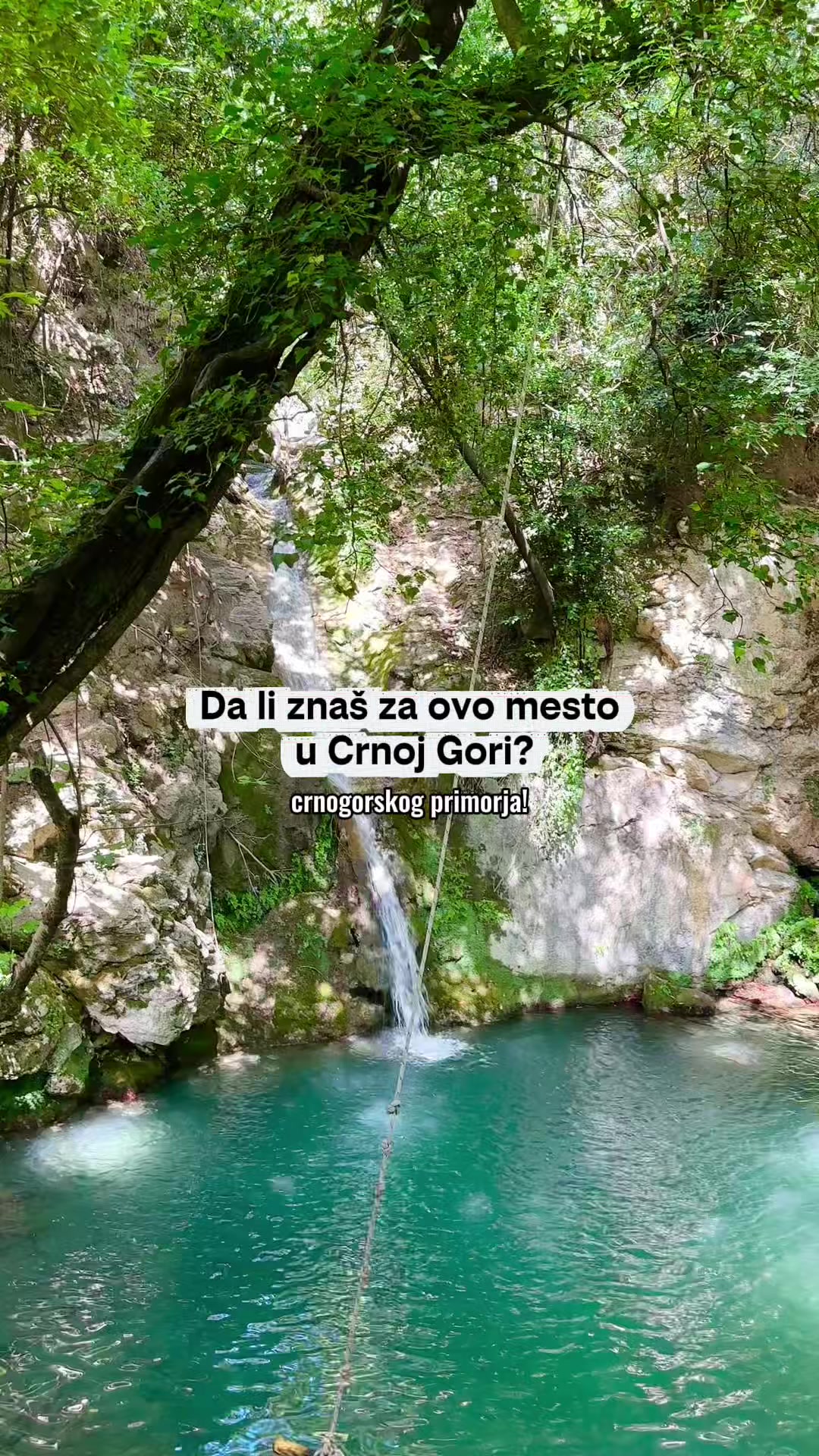 @andjelijaraicevic
