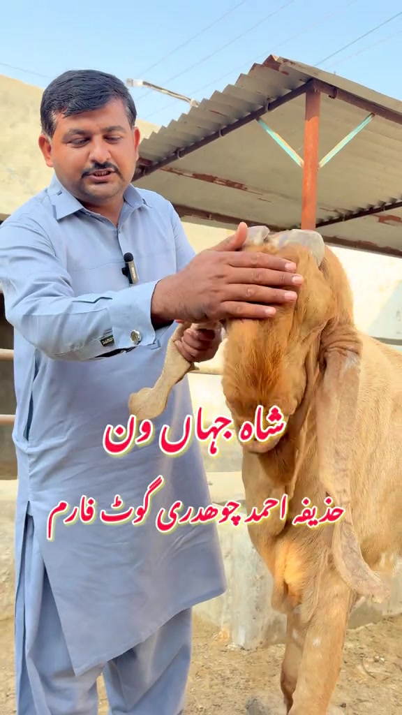 @Dr.Mohsin