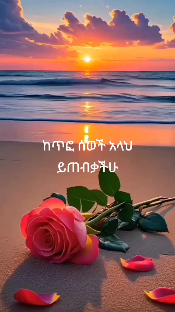 @Aeisha