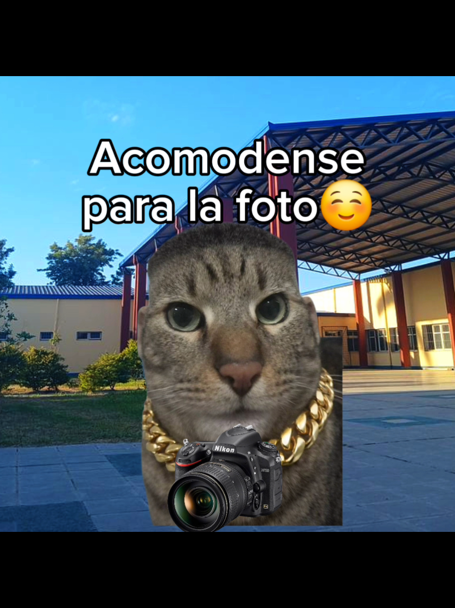 @El Perrix