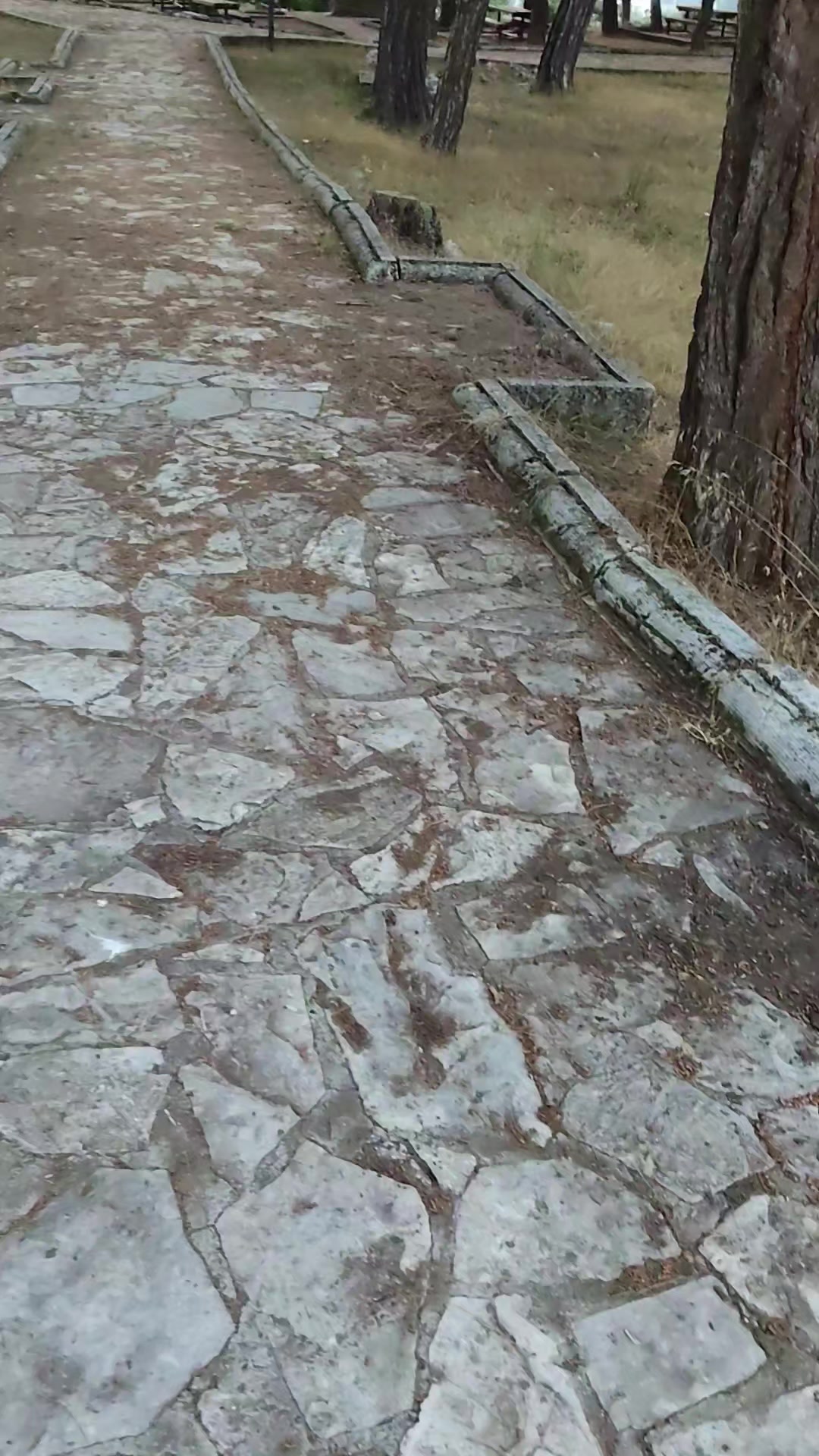 @jesus