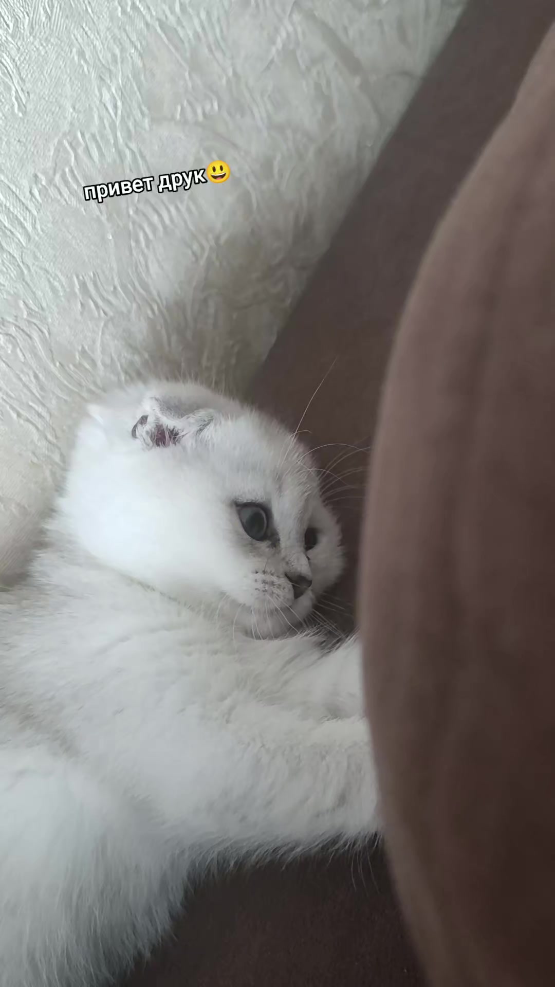@братзхилс