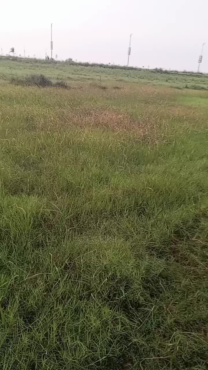 @muhaibkhan9696