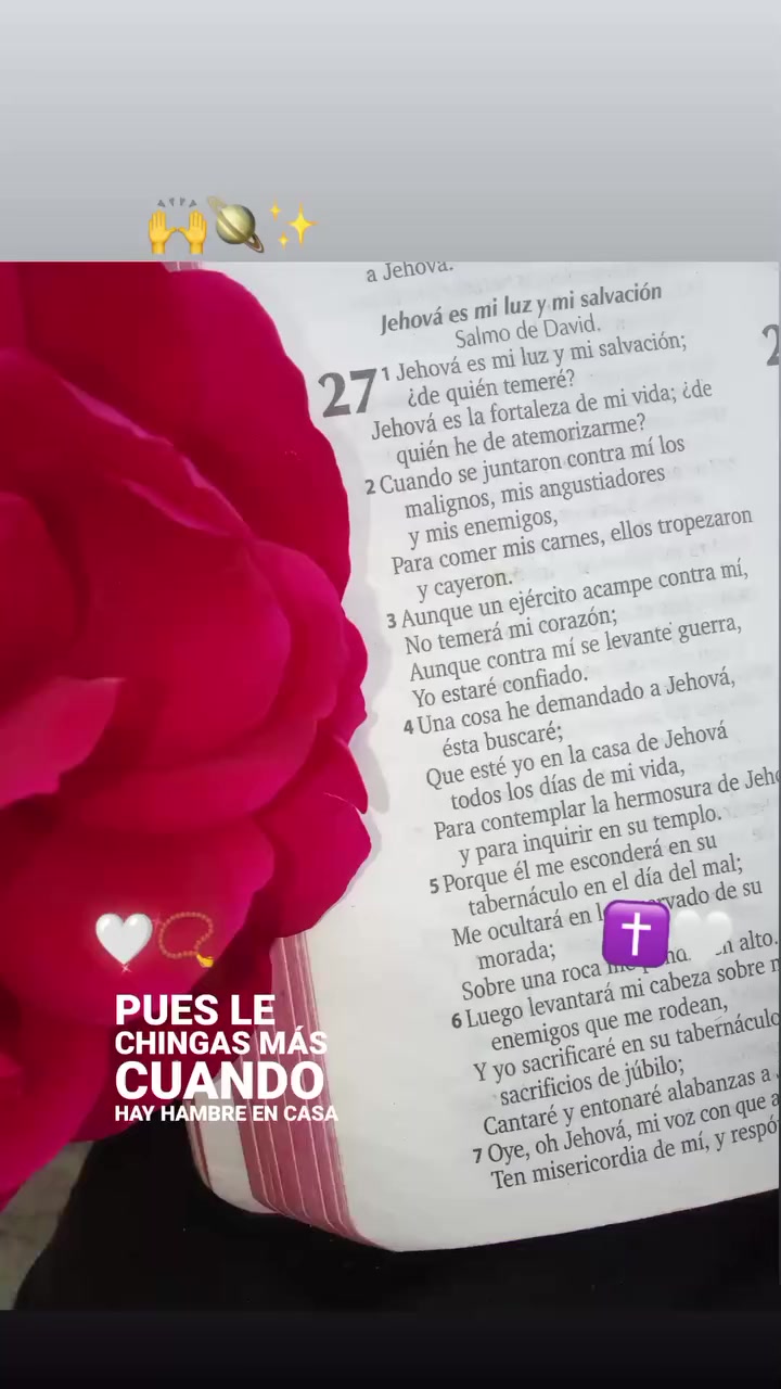 @დ𝒾𝓏 .ℱ𝒶𝓃𝓃𝓎.🫧