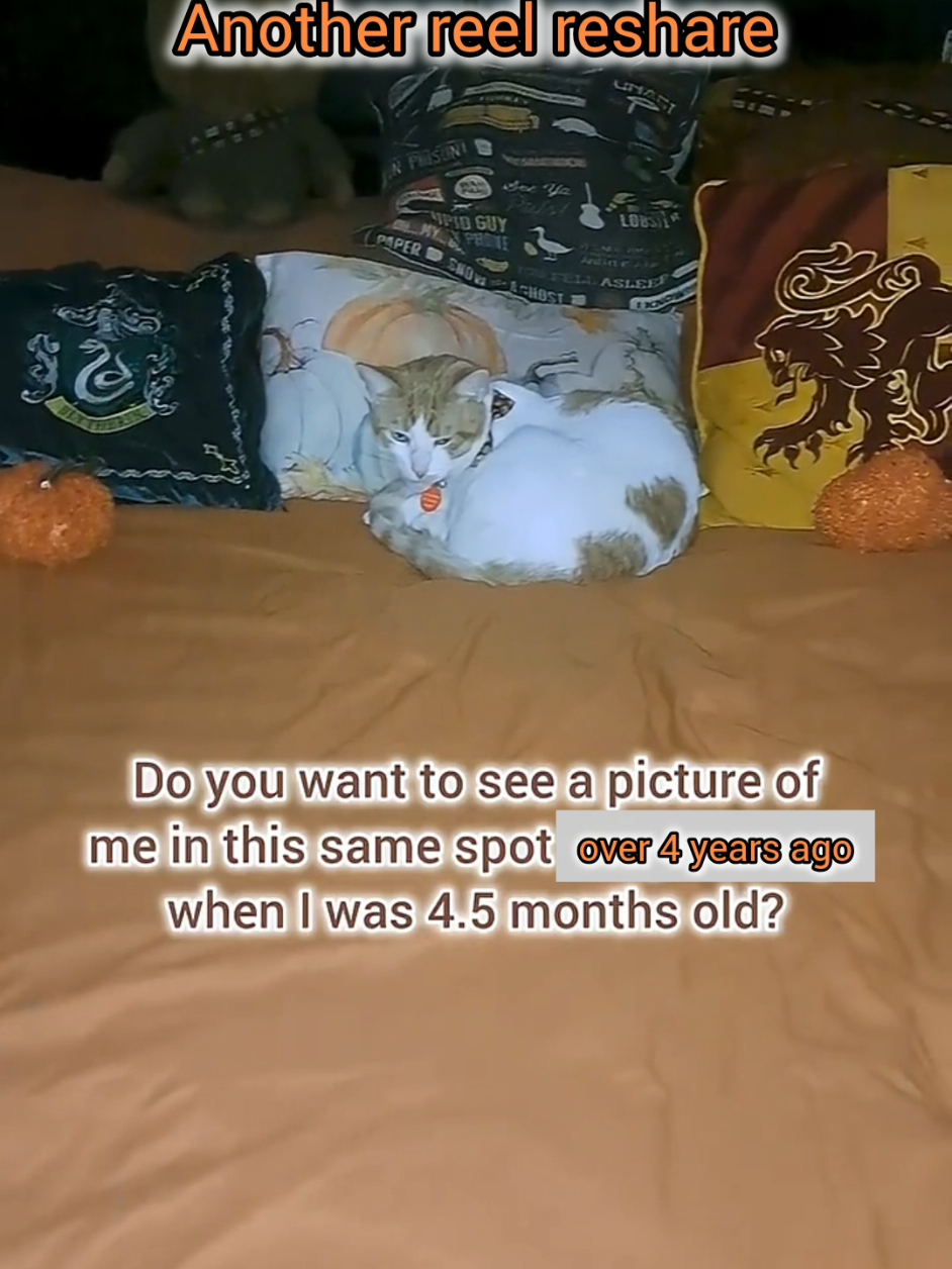 @Candice & Weasley