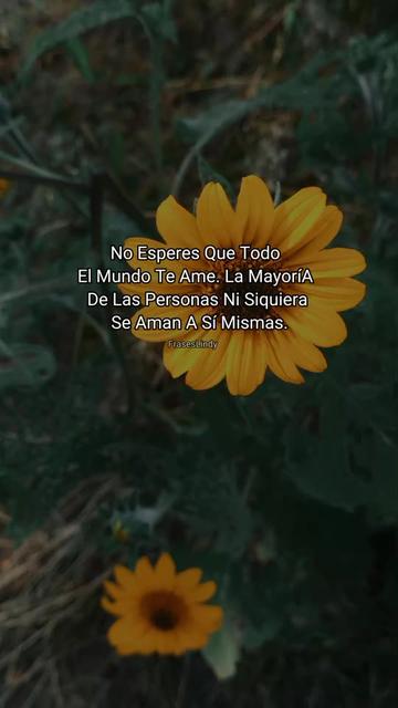 @🍀Miry🏹