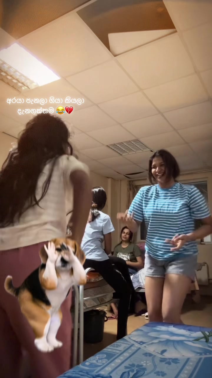 @Rishiy 🦋💐🔐
