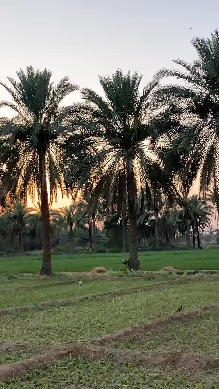 @anaskhalid5991