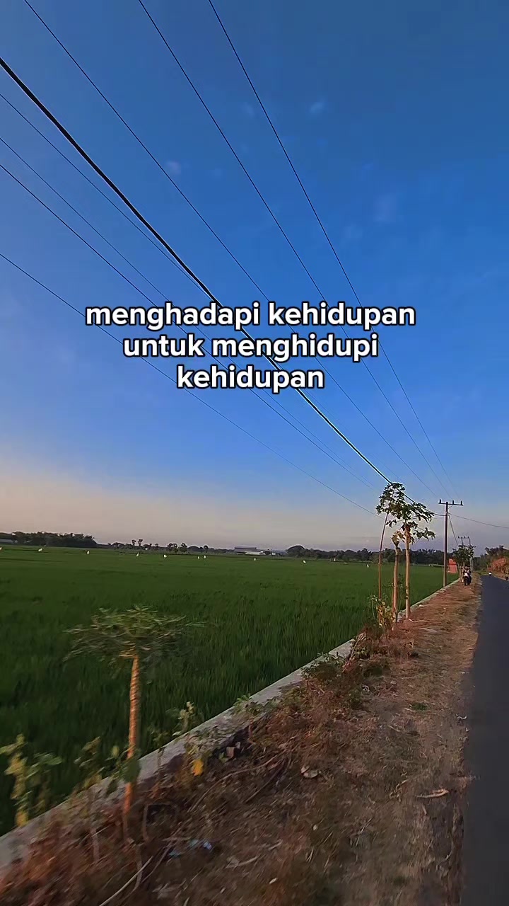 @miftakhulazizah