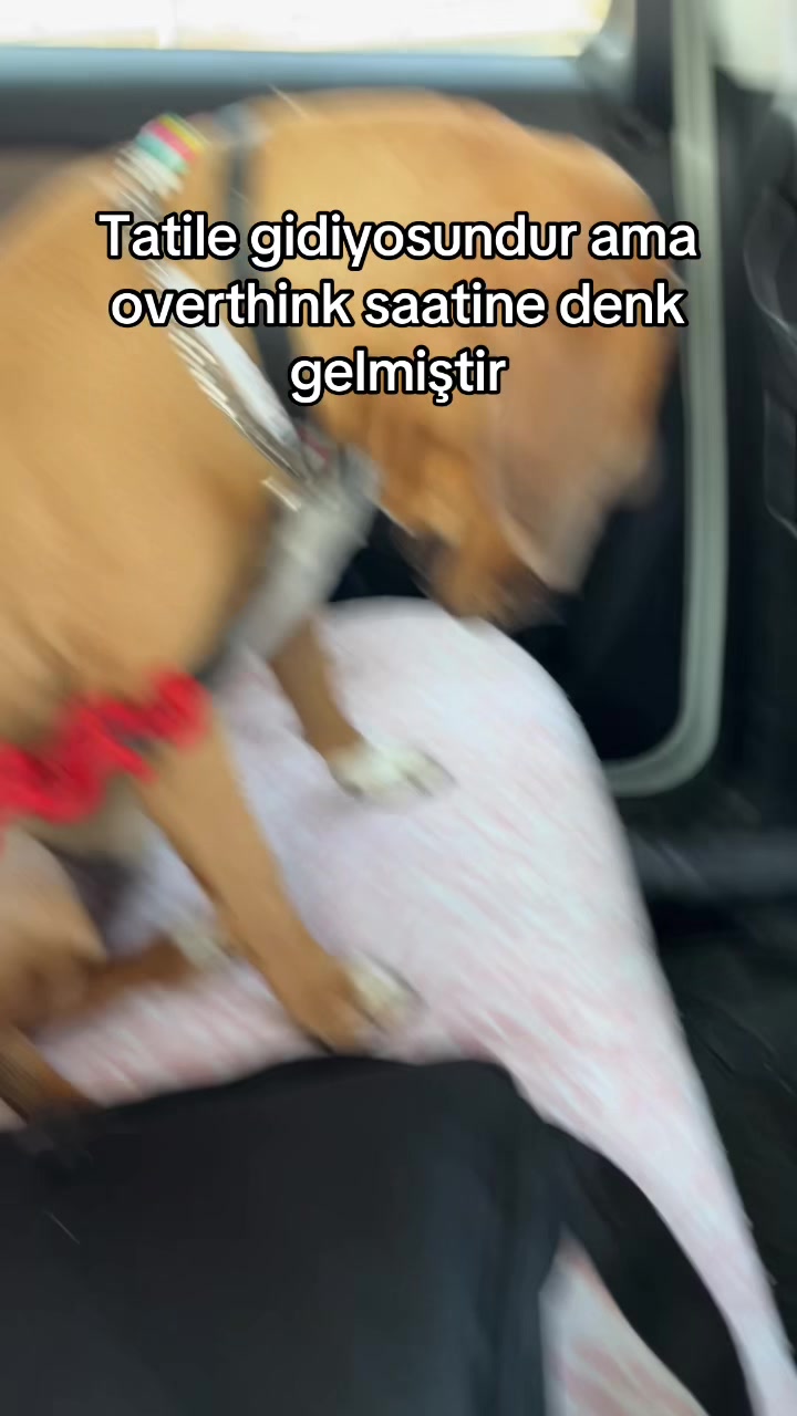 @nazlihande35