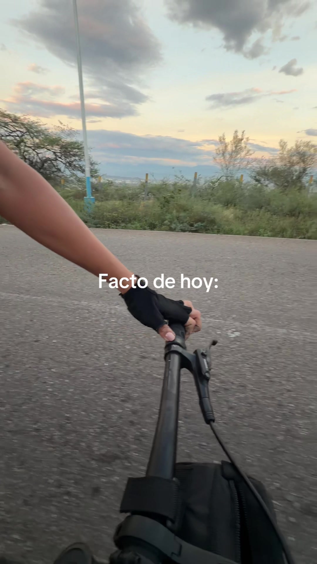 @Desiree Mendoza