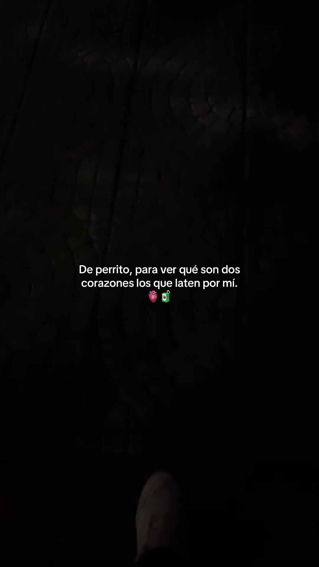 @Gatocix 🐱