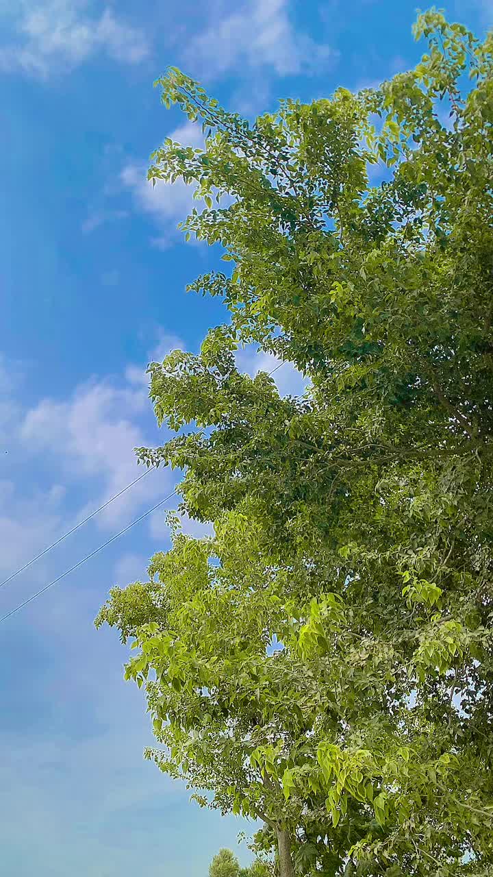 @👑Nazam-joiya1407👑☠️