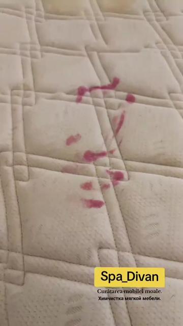 @SpaDivan.md