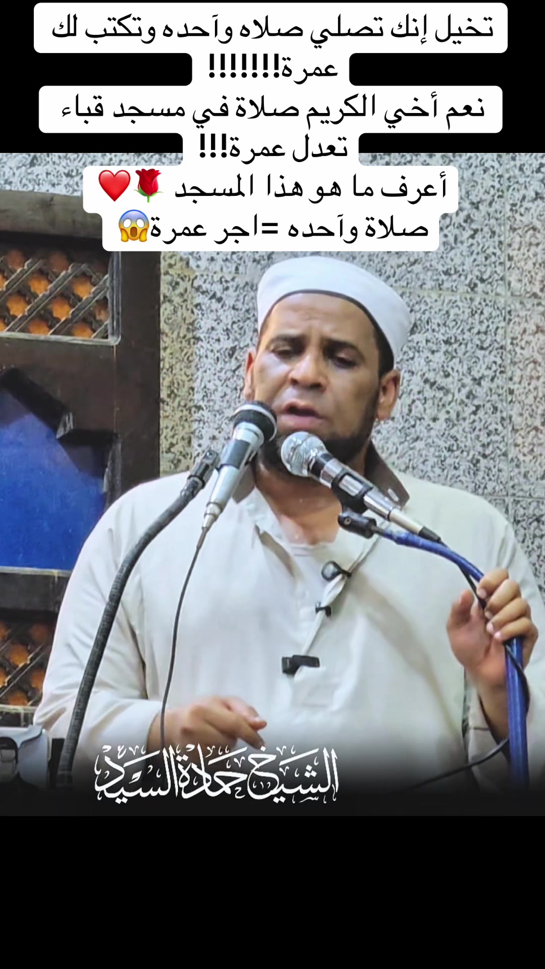 @الشيخ حمادة الجنداوي