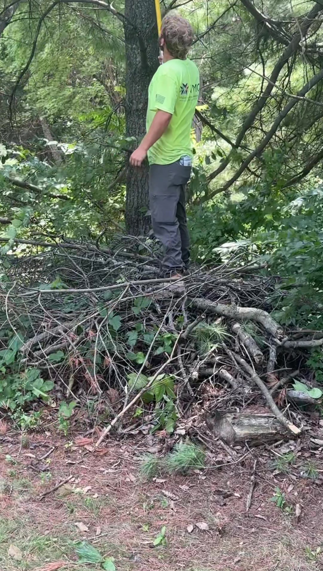 @TreevilKenevil