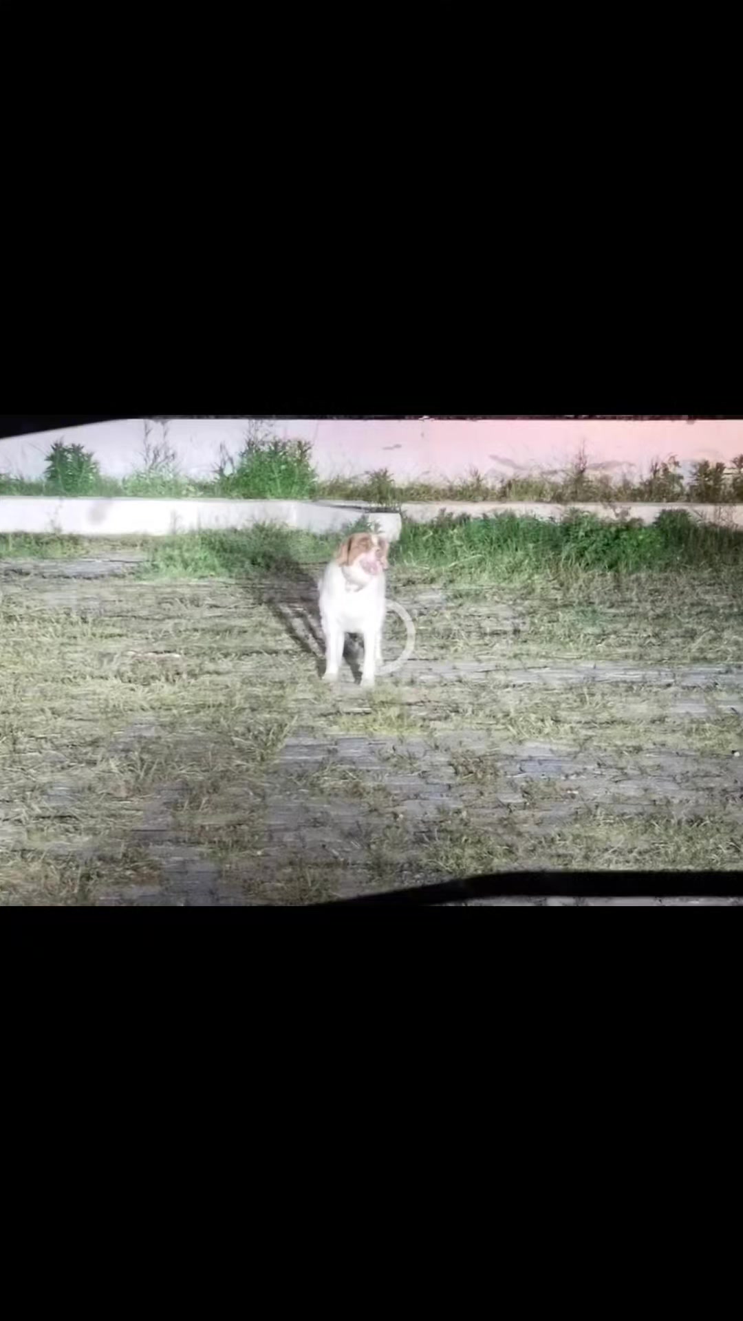 @@MG