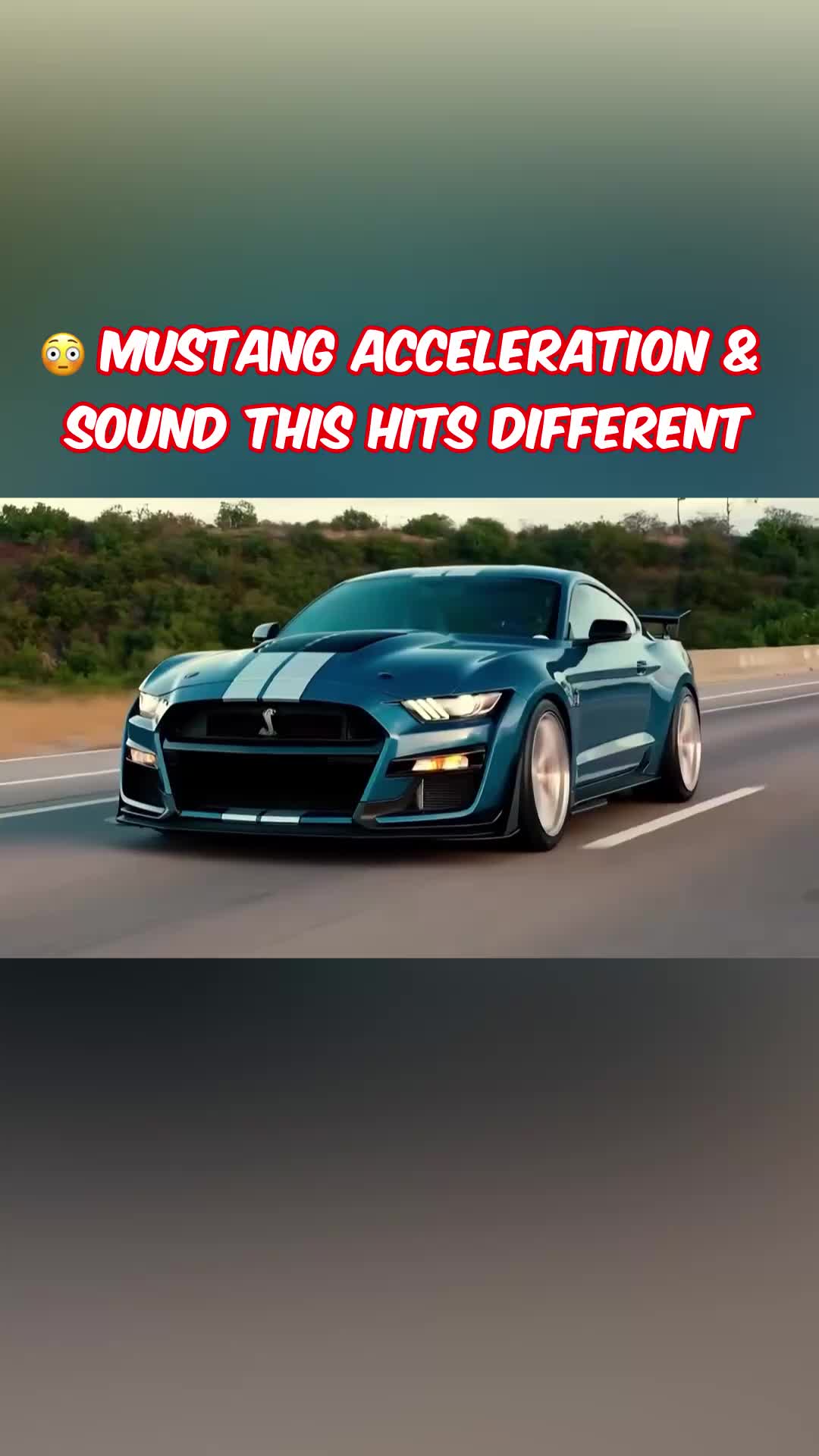 @Muscle Cars