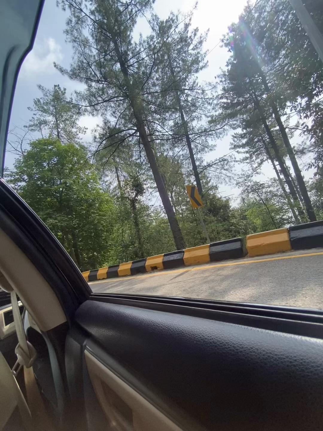 @Haya Hayat