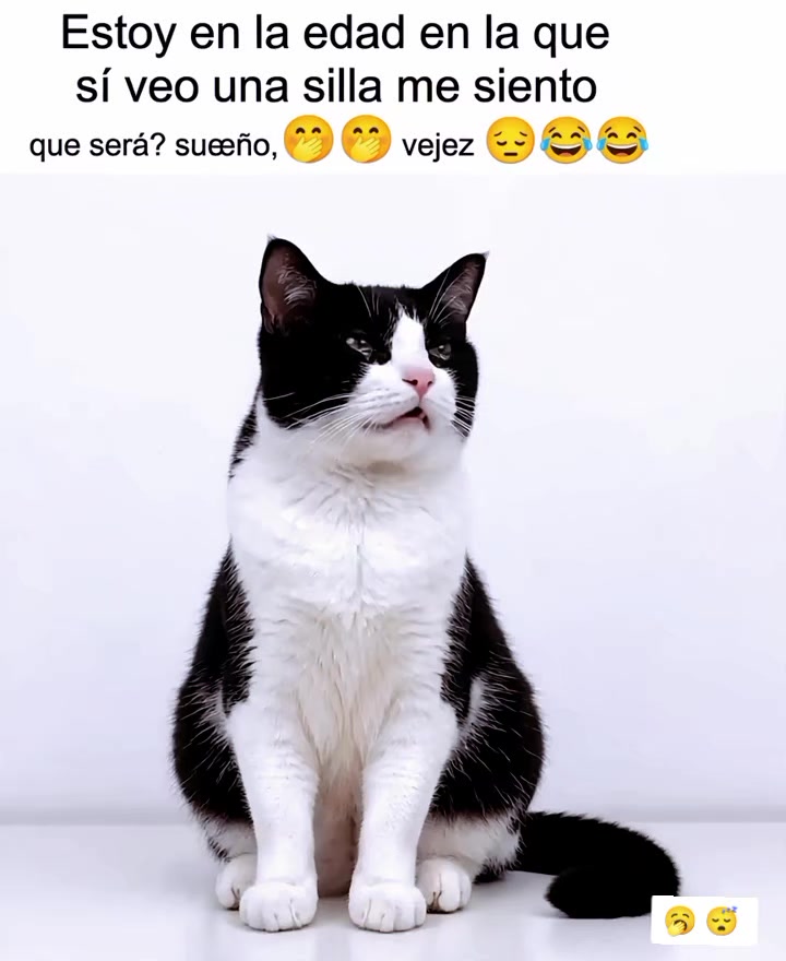 @memestristemariicruz🐈⬛ 🤣😔