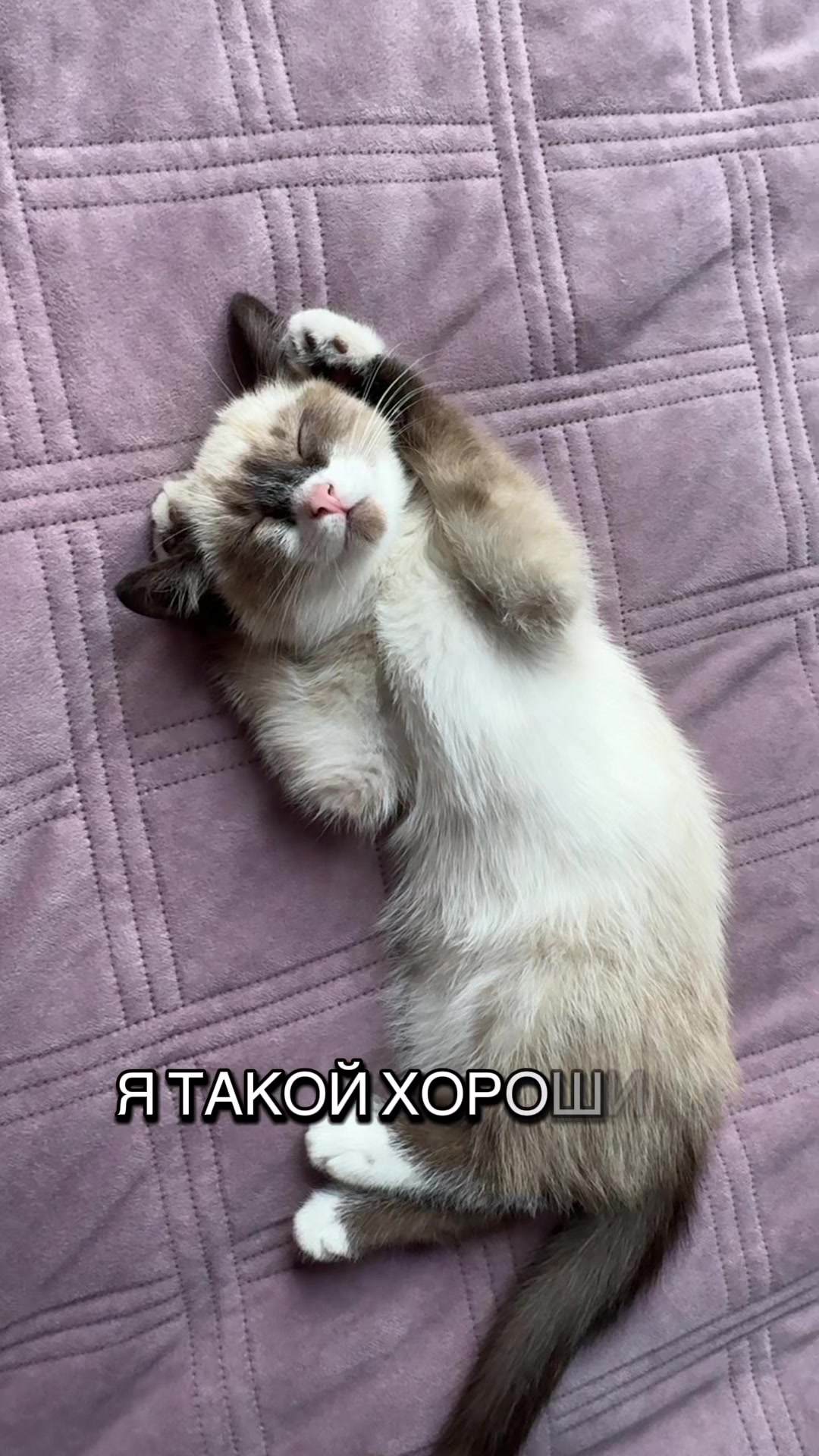 @Лілія Ничипорук