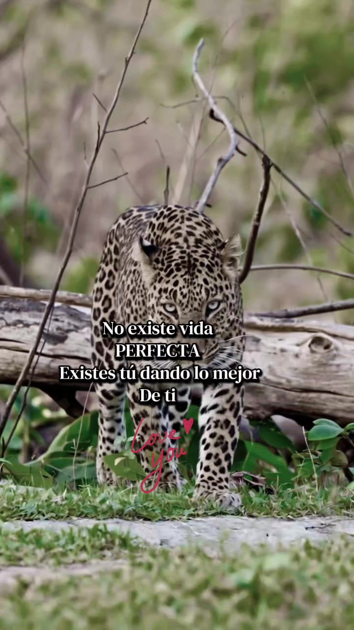 @💫chikis💫