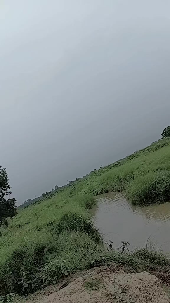 @premray