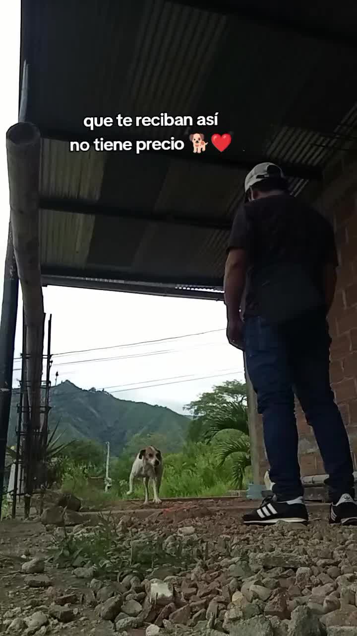 @ALFYULE