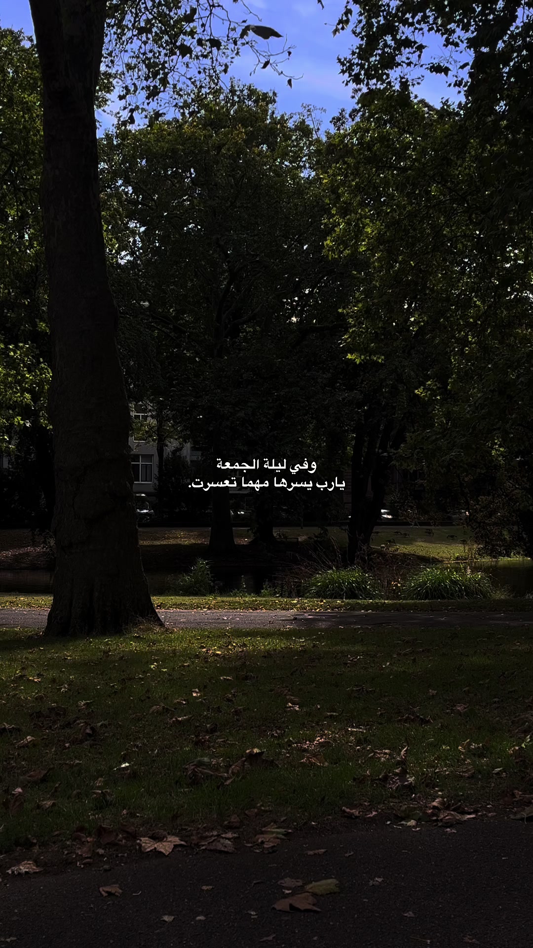 @رٌ | 𝟏𝟗𝟗𝟓