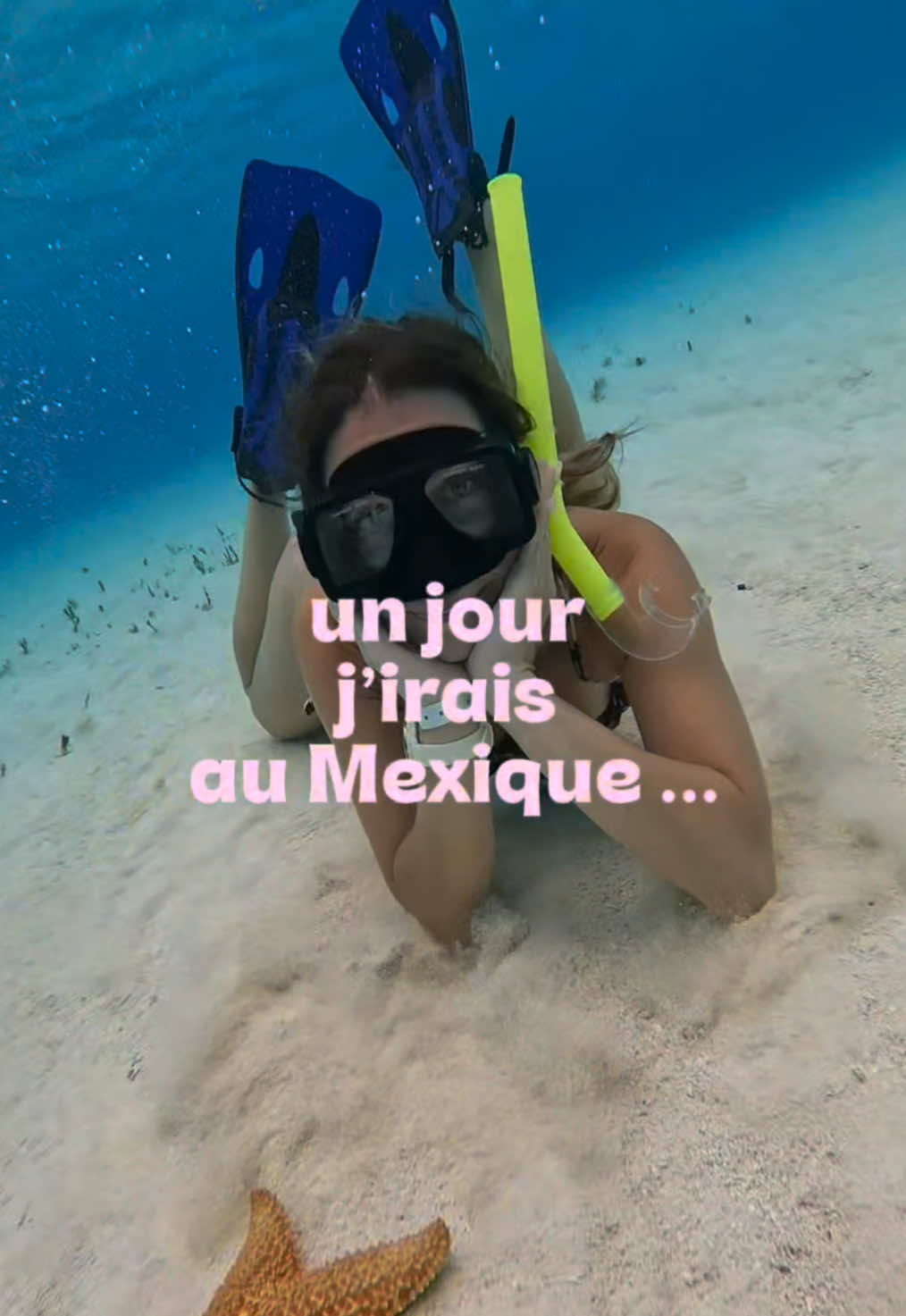 @xamanexperience