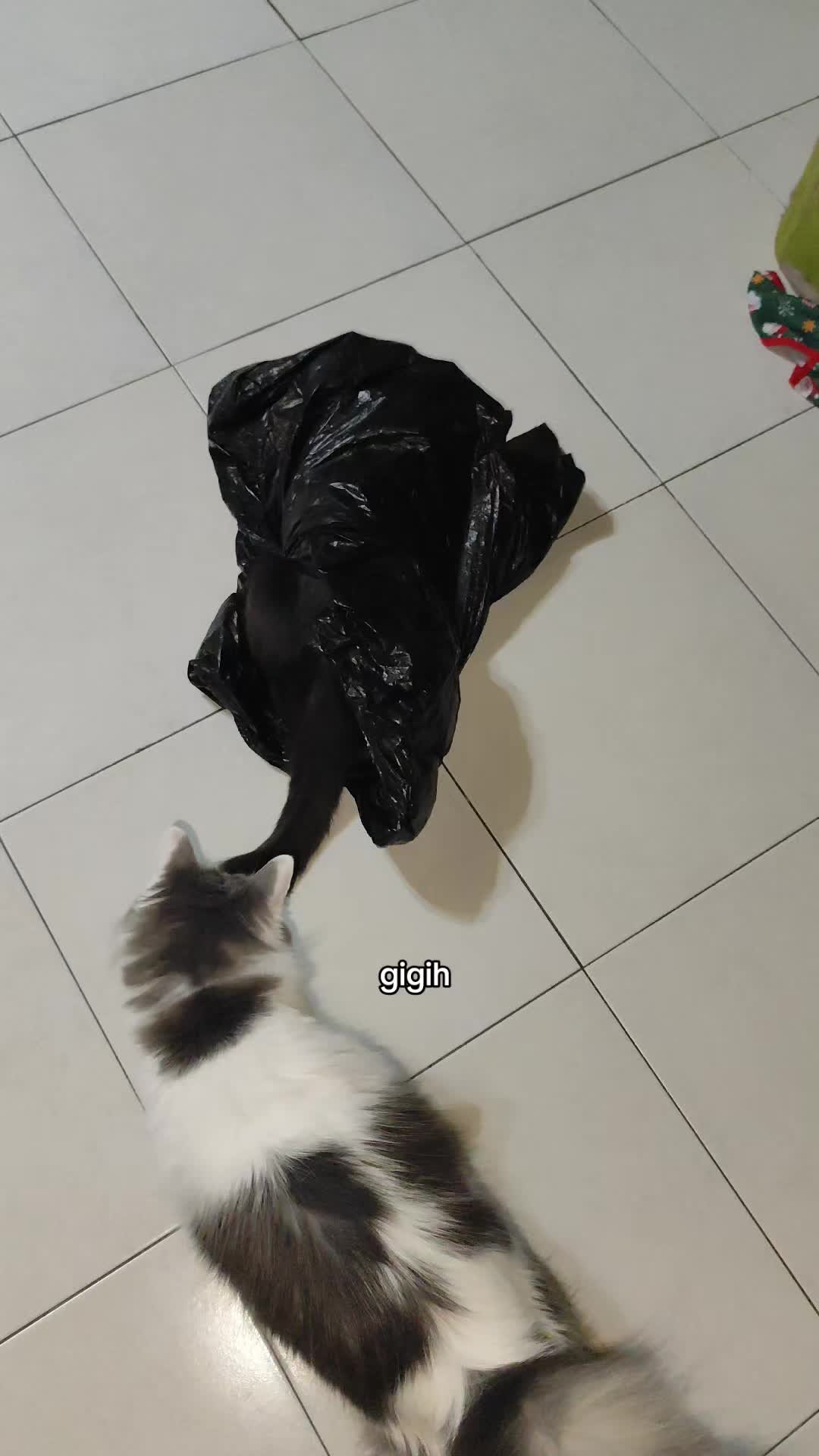 @Omma Kucing 🇲🇾🍉