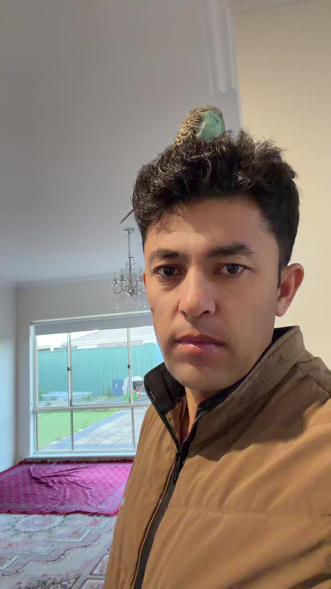 @Arash Shafaie🇦🇫❤️🇦🇺