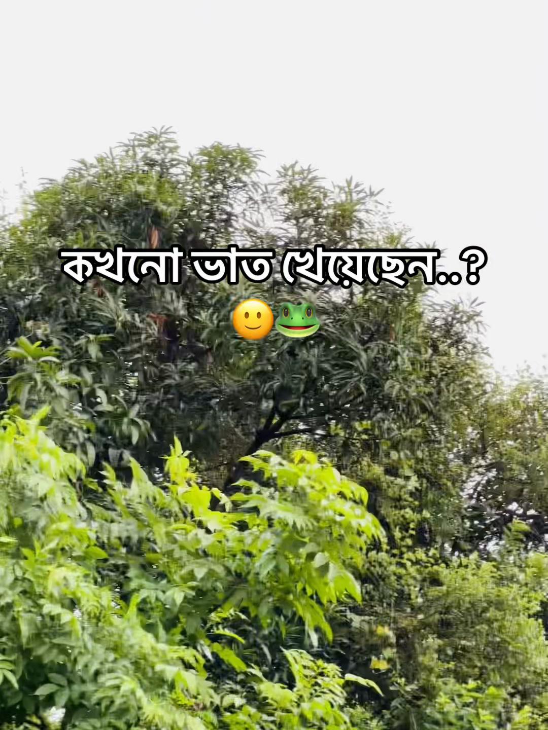 @টিক-টিকি