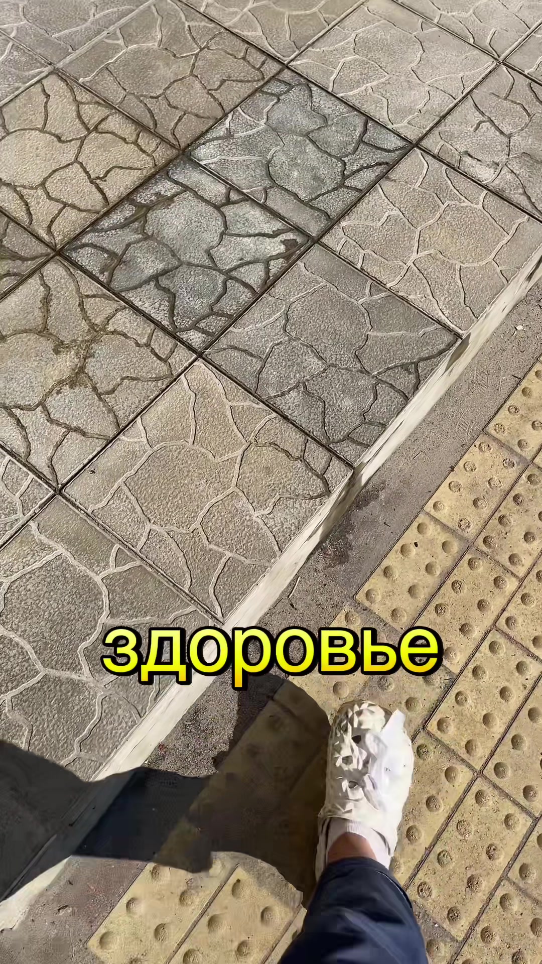 @Елена♐️
