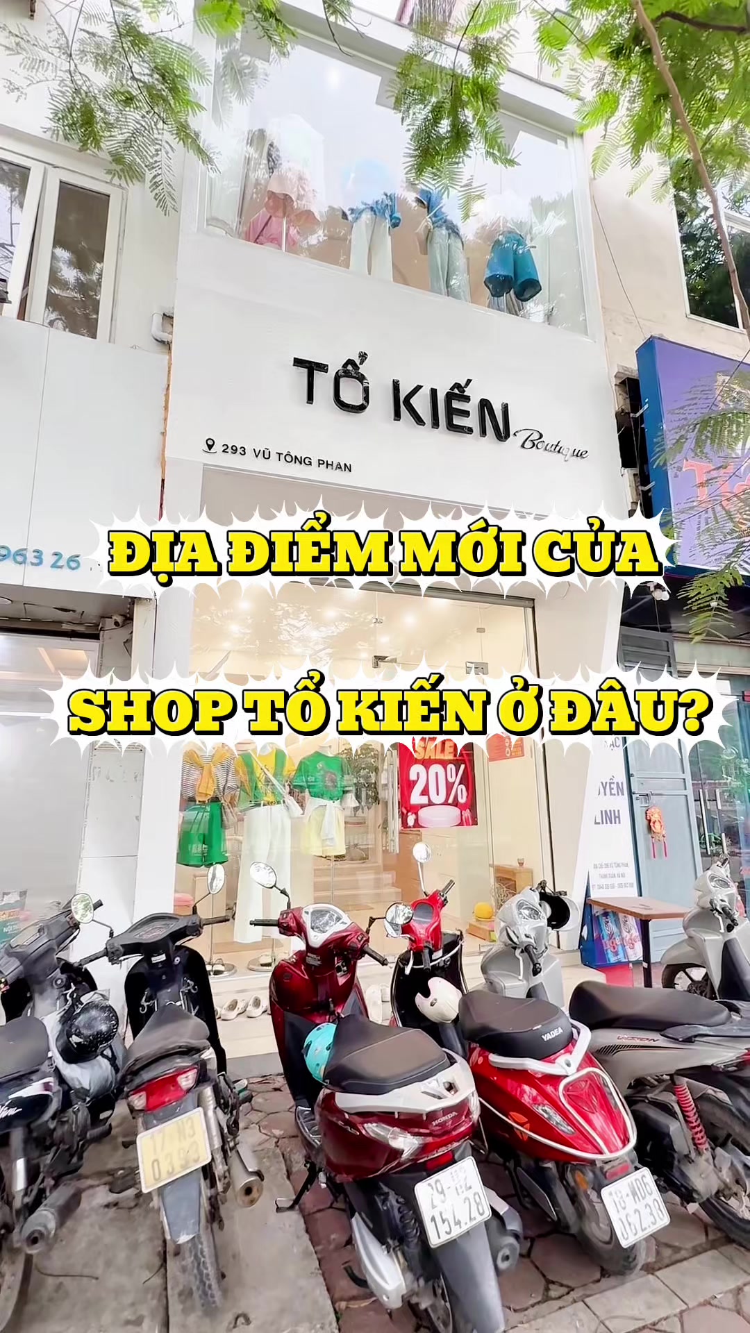 @LINH TỔ KIẾN 💋