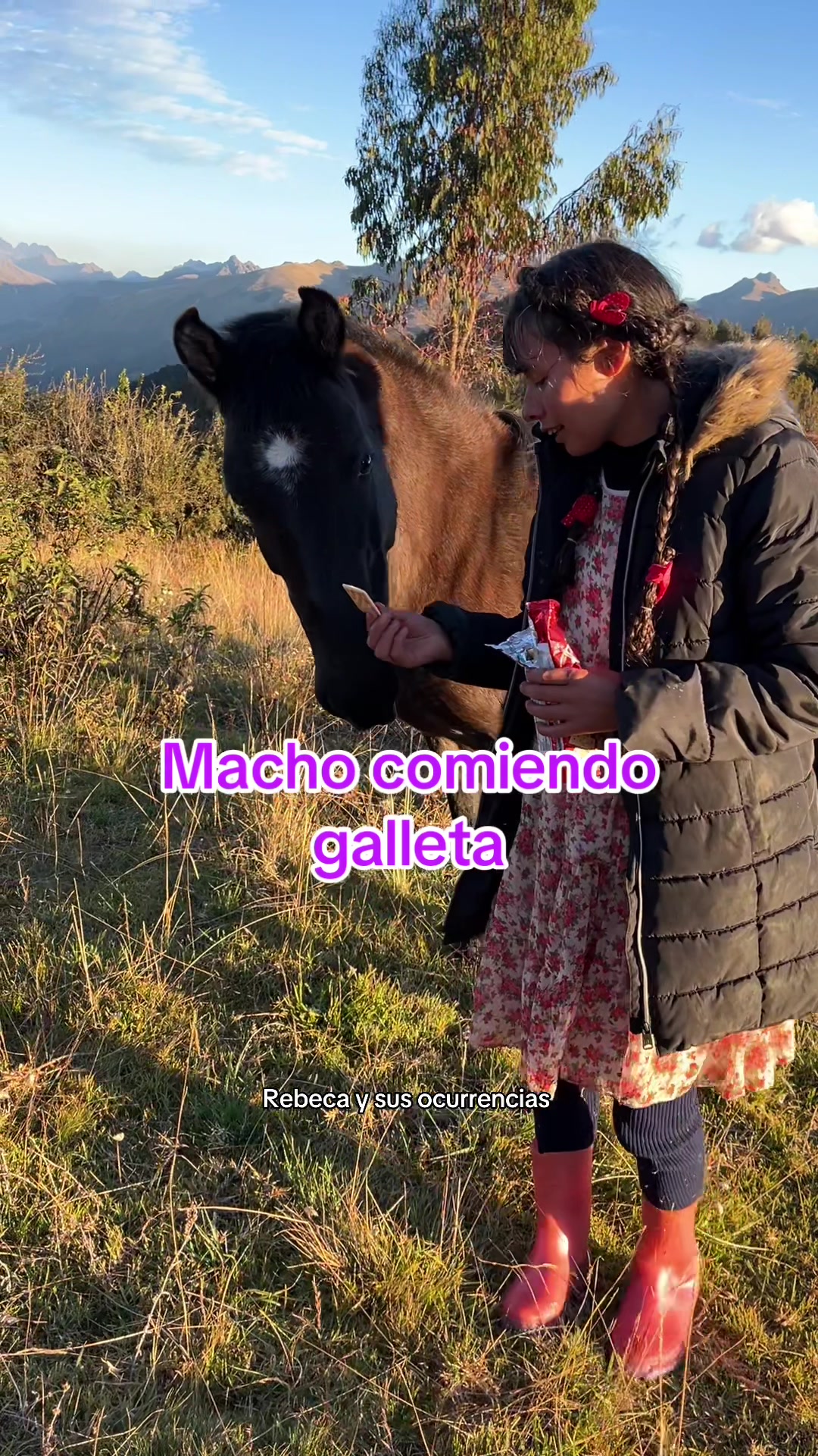 @🐈Rebeca y sus ocurrencias
