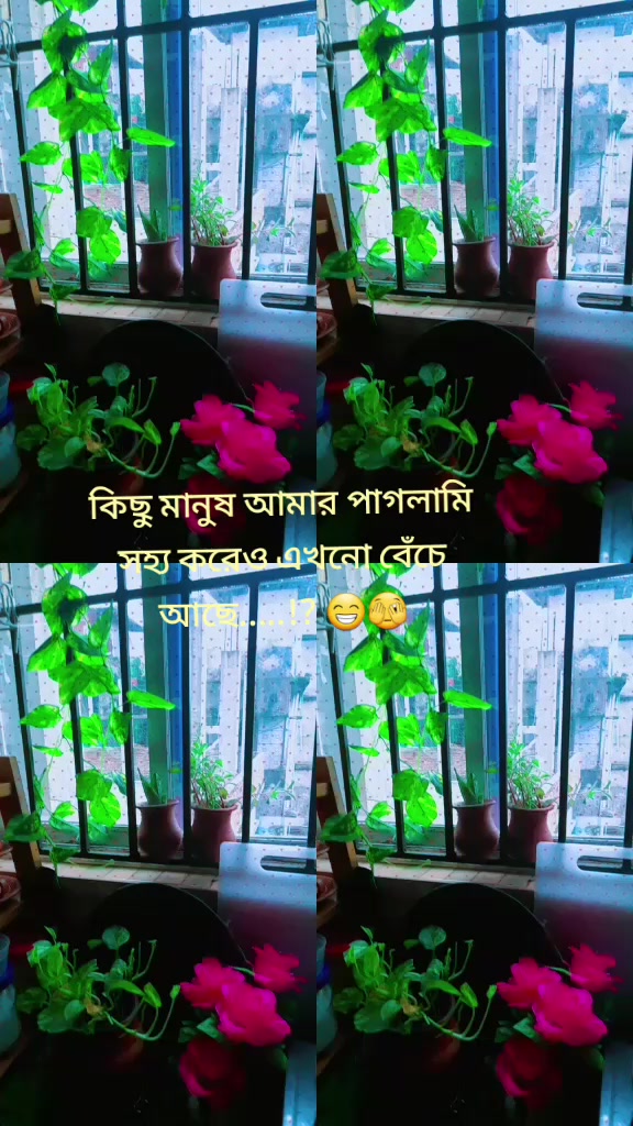 @đđ§ĄđāϏā§āϞāϤāĻžāύ āĻāĻā§āϤāĻžāϰ đđđ§Ą