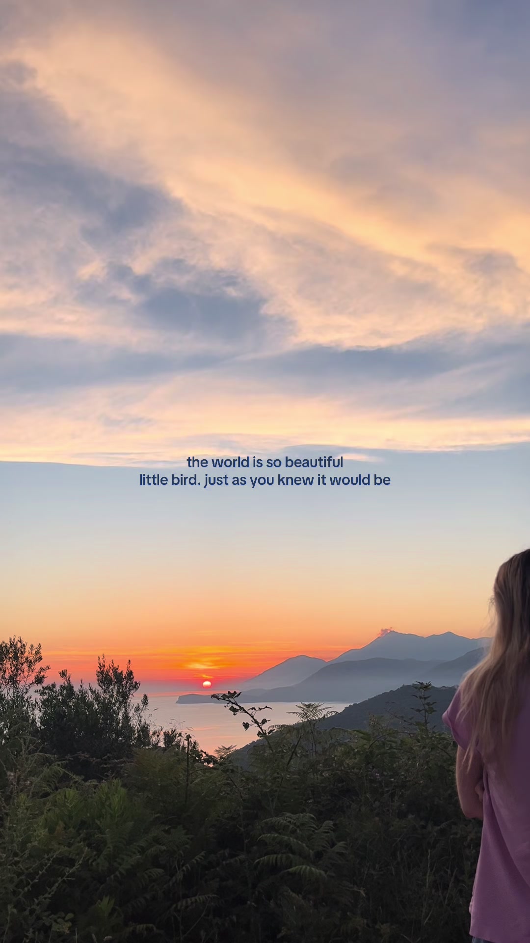 @presley | author & traveler