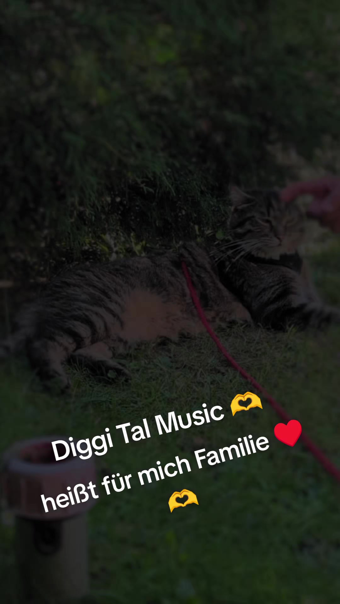 @😻Katrin&Odin 😻Modi Muddi 😻