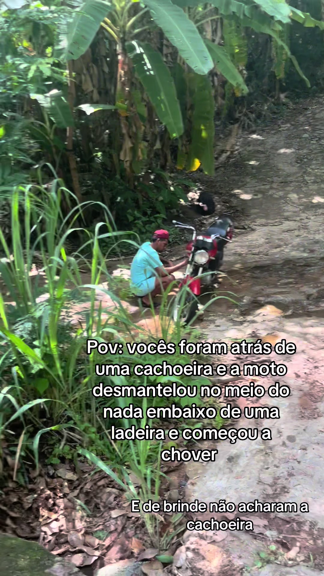 @Alaide Silva