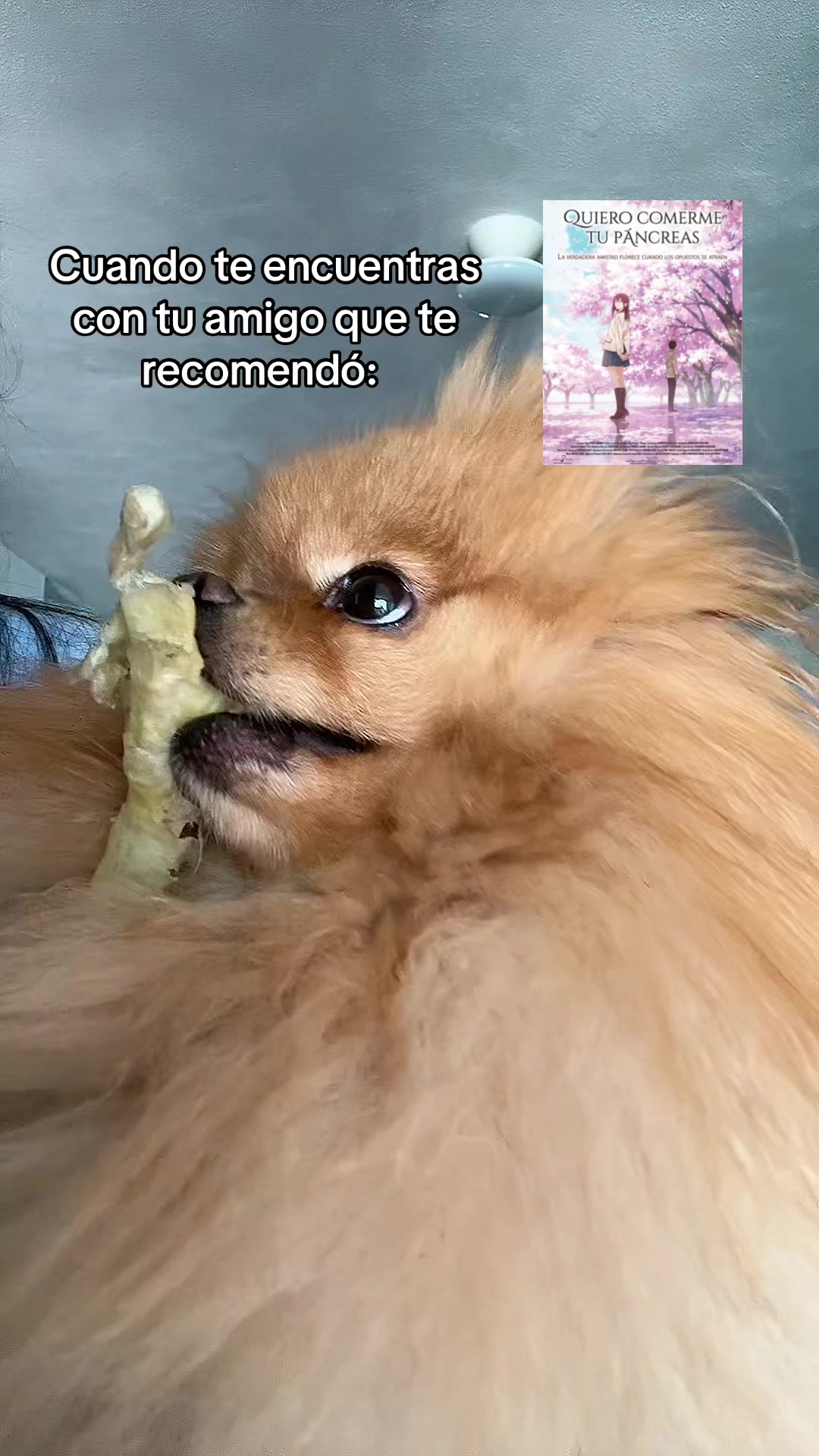 @Enju Vega