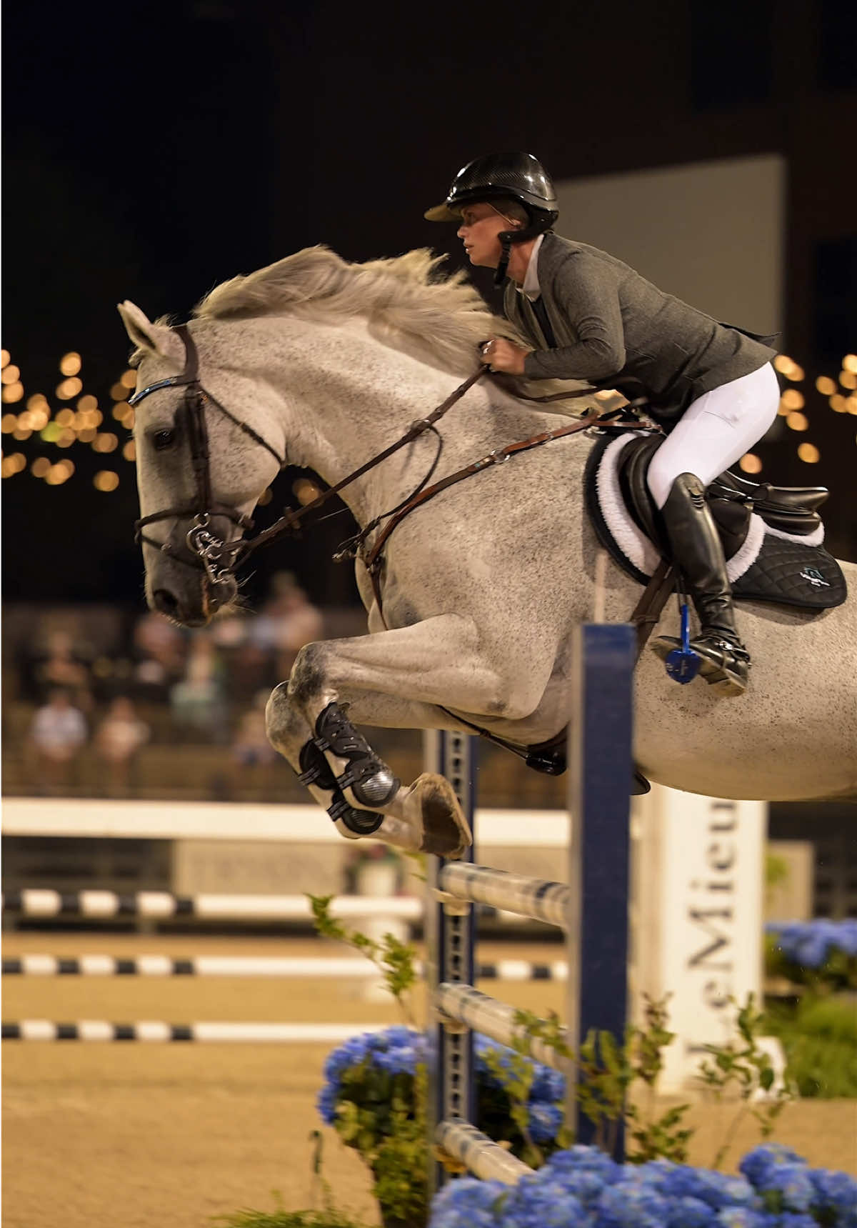 @Free Ride Equestrian