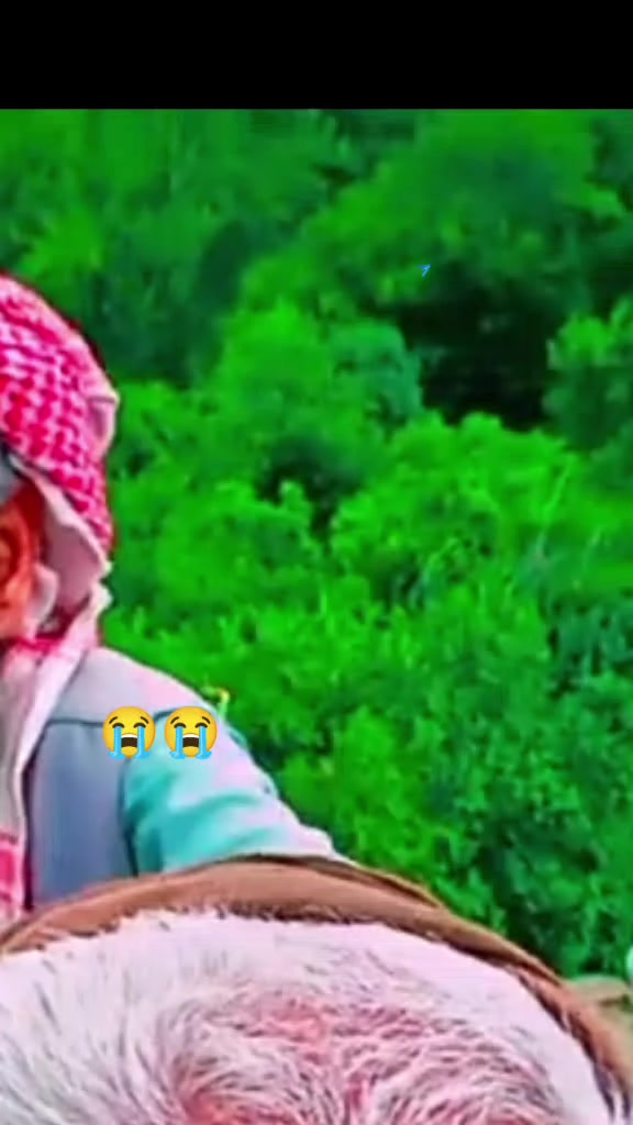 @Ibrahim_(💔iT💔)_Tanoli