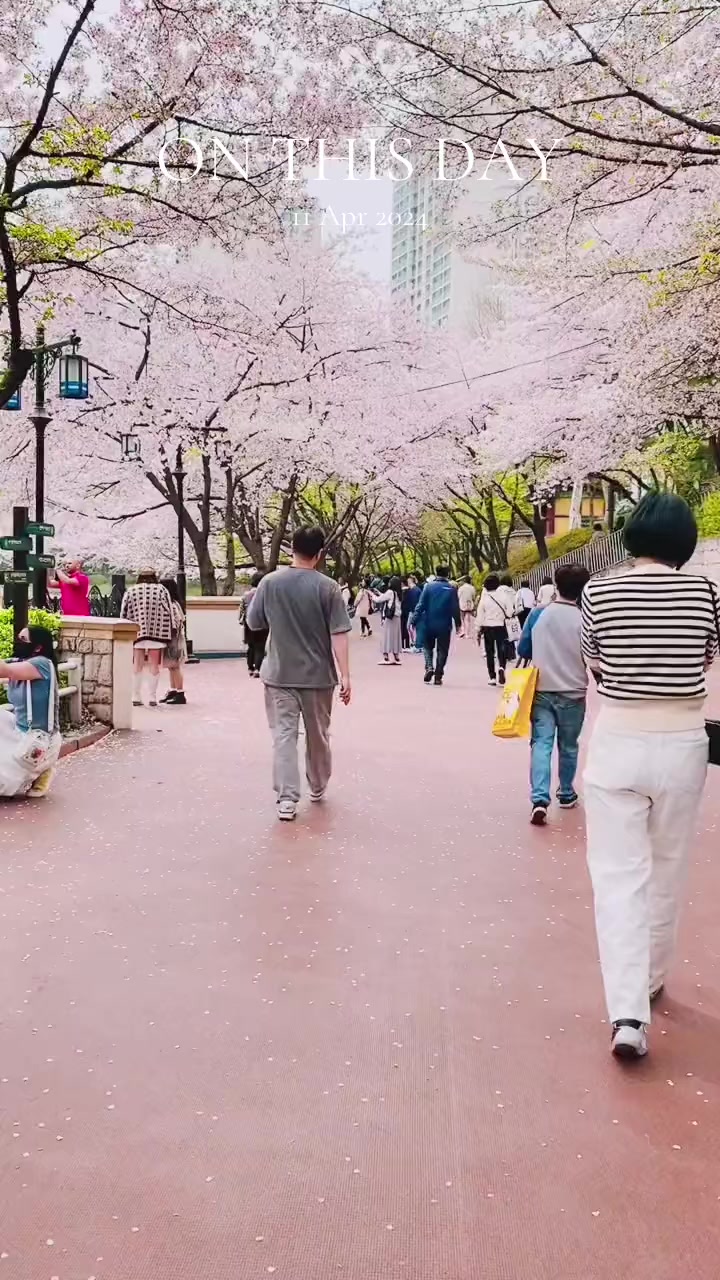 @Sachi imasha සචී 🇰🇷