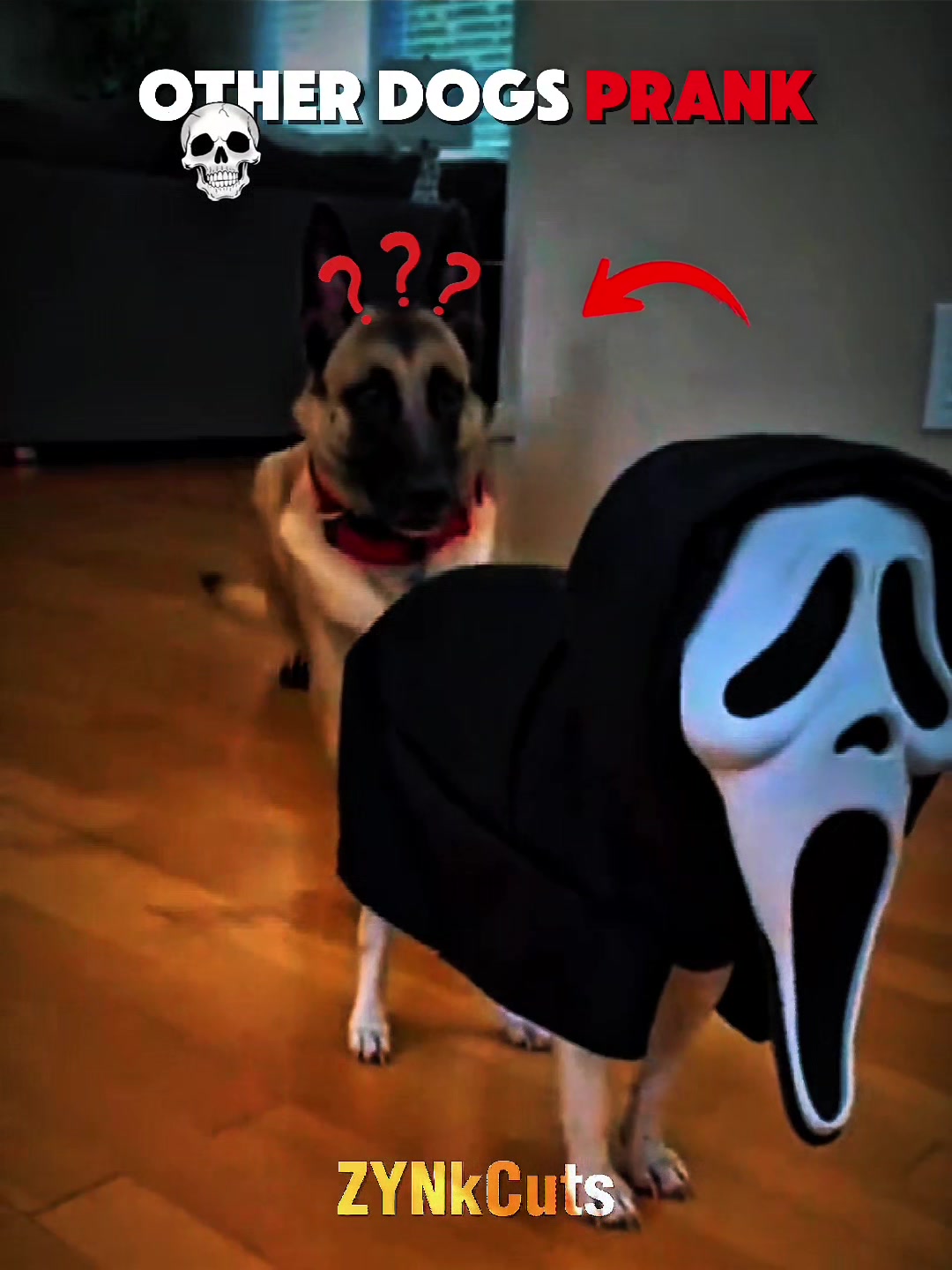 @ZYNkCuts