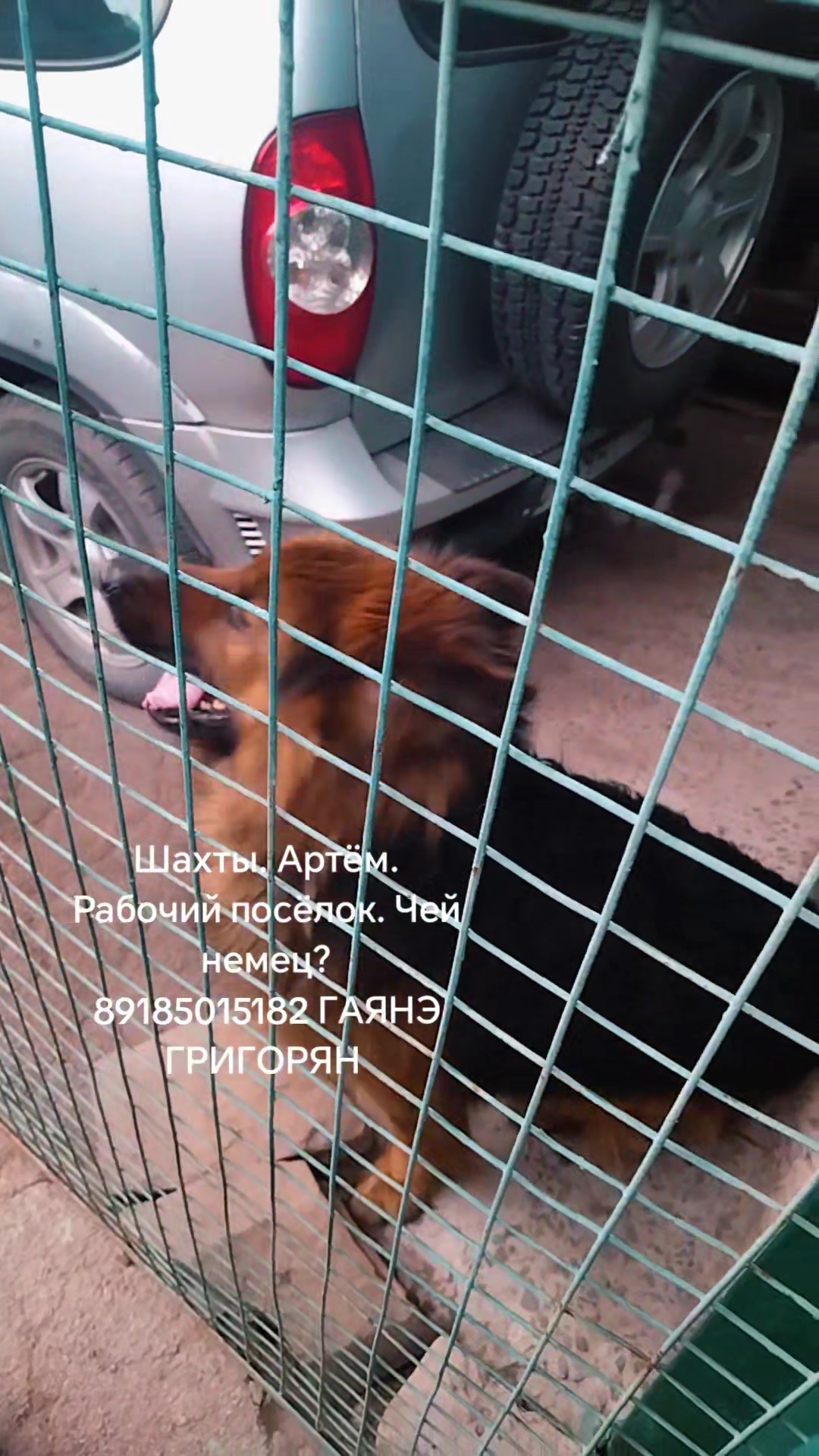@Гаянэ Григорян