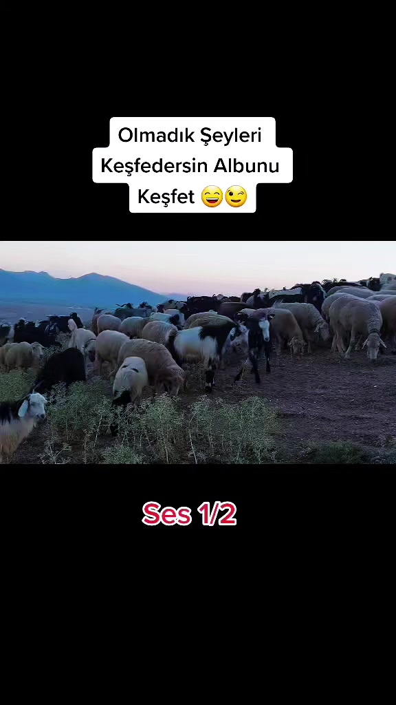 @👑Ercan Aslan👑