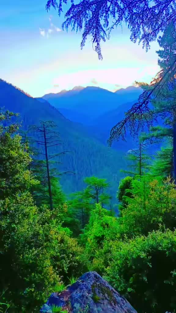 @Ham Zzaa XarDar